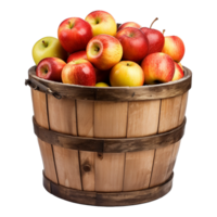 AI generated Apples in a wooden barrel isolated on transparent background png