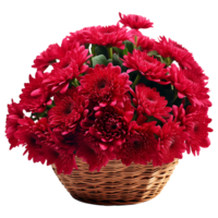 ai gegenereerd mand van rood chrysanten geïsoleerd Aan transparant achtergrond png