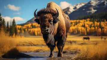 AI generated bison high quality image photo