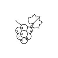 Grape icon in thin outline style vector