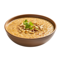 ai gerado haleem em uma tigela isolado em transparente fundo png