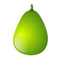 Pear icon in color. Food fruit vitamin healthy vector