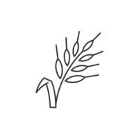 Wheat icon in thin outline style vector