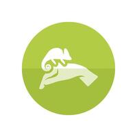 Animal care icon in flat color circle style. Chameleon zoo jungle human feeding vector