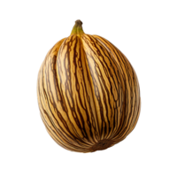 ai gerado zebrawood fruta png isolado em transparente fundo