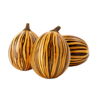 AI generated Zebrawood fruit png isolated on transparent background