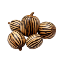 ai gerado zebrawood fruta png isolado em transparente fundo