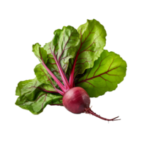 AI generated Beetroot with leaves isolated on transparent background png