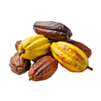 AI generated Ripe cocoa fruits png isolated on transparent background