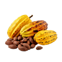 AI generated Ripe cocoa fruits png isolated on transparent background