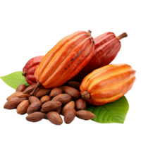 ai gegenereerd rijp cacao fruit PNG geïsoleerd Aan transparant achtergrond