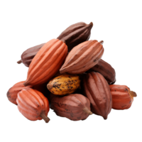 AI generated Ripe cocoa fruits png isolated on transparent background