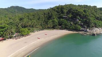 volo sopra sabbioso spiaggia video