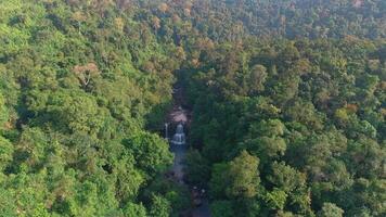 vlucht naar waterval video