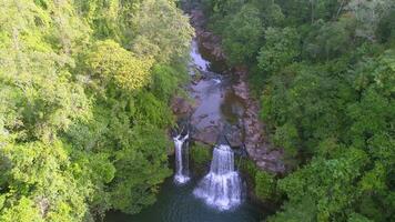 Urwald Wasserfall Aussicht video