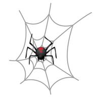 Spider icon in color. Animal arachnid spooky Halloween vector