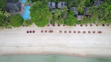 magnifique sablonneux plage video