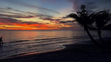 pôr do sol na praia video