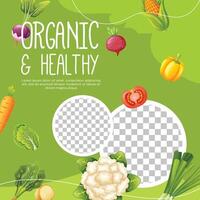 Post template for vegetarian or organic product vector