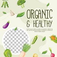 Healthy vegetarian food social media post template design vector