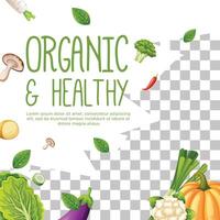 Post template for vegetarian or organic product vector