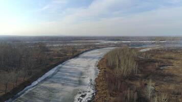 primavera paesaggio nel Siberia video