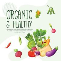 Social media post template design organic food vector