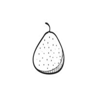 Hand drawn sketch icon pear vector