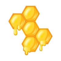 Illustration of Honeycomb. Vector design