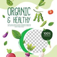 Healthy vegetarian food social media post template design vector