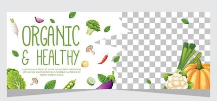 Horizontal banner template for vegetarian vector