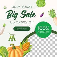 Social media post template design organic food vector