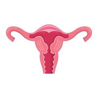 Uterus icon design illustration. Vector design