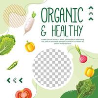 Template vegetarian social media post vector