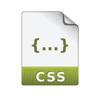 CSS file format icon in color. Computer web page style vector