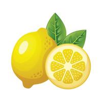 Lemon fruit icon design. Fresh fruit vector