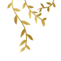 Golden botanical plant png