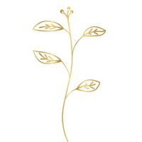 Golden botanical plant png