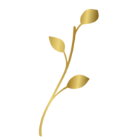 Golden botanical plant png