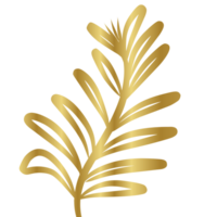 Golden botanical plant png