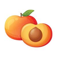 Peach fruit icon design. Fresh fruit vector