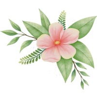 clipart de flores em aquarela png