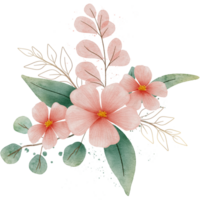 vattenfärg blommor ClipArt png