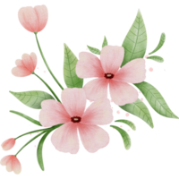 vattenfärg blommor ClipArt png