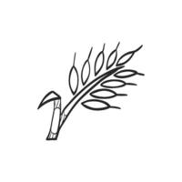 Hand drawn sketch icon wheat vector