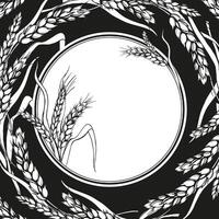vector white frame with ears of wheat, hand drawn illustration of branches of wheat, agriculture theme, black and white sketch of harvest theme on black background