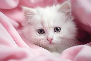 AI generated portrait of a white fluffy kitten in a pink blanket photo