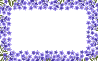 horizontal frontera marco con púrpura no me olvides flores primavera botánico diseño con ramas de púrpura floreciente flores y verde hojas. linda antecedentes para tarjetas y invitaciones png