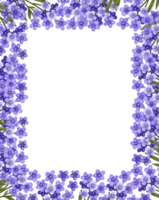 verticale confine telaio con viola non ti scordar di mé fiori. delicato primavera botanico design con rami di viola fioritura fiori e verde le foglie. carino sfondo per carte e inviti png