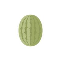 Water melon icon in flat color style. Fruit sweet tropical dessert snack thirsty vector